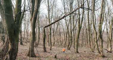 Kız kırık bir ağacın altında ayakta