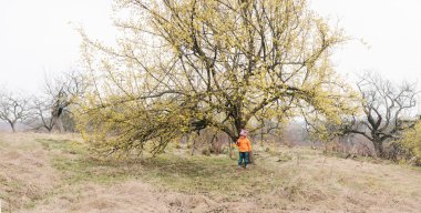kız da gelişti ağaca ayakta