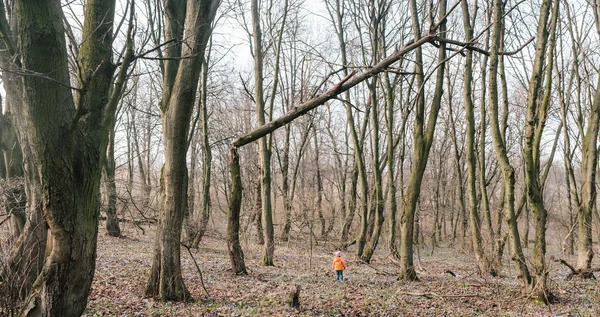 Kız kırık bir ağacın altında ayakta