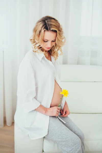 Happy family.a pregnant woman — Stock Photo, Image