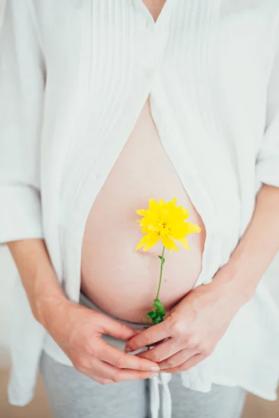 Happy family.a pregnant woman — Stock Photo, Image