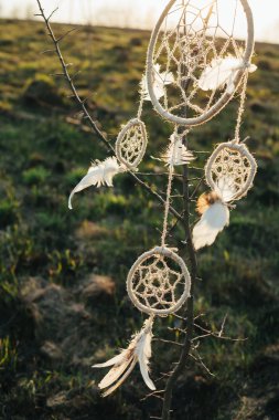 Günbatımında bir alanda bir ağaca asılı dreamcatcher