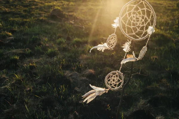 rüya yakalayıcı günbatımında bir alanda bir ağaca asılı