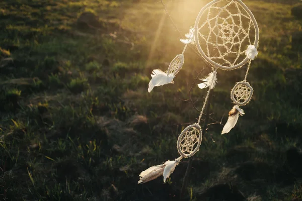 Günbatımında bir alanda bir ağaca asılı dreamcatcher