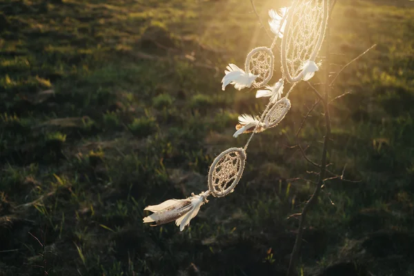 Traumfänger hängt bei Sonnenuntergang an einem Baum auf einem Feld — Stockfoto