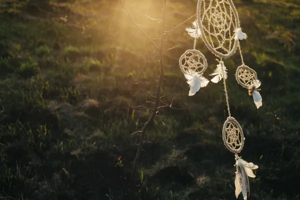 Atrapasueños colgando de un árbol en un campo al atardecer —  Fotos de Stock