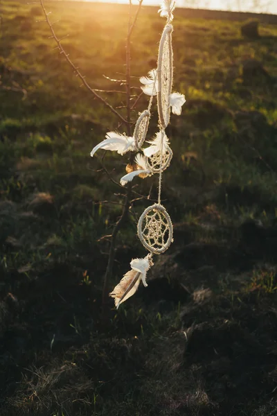 Traumfänger hängt bei Sonnenuntergang an einem Baum auf einem Feld — Stockfoto