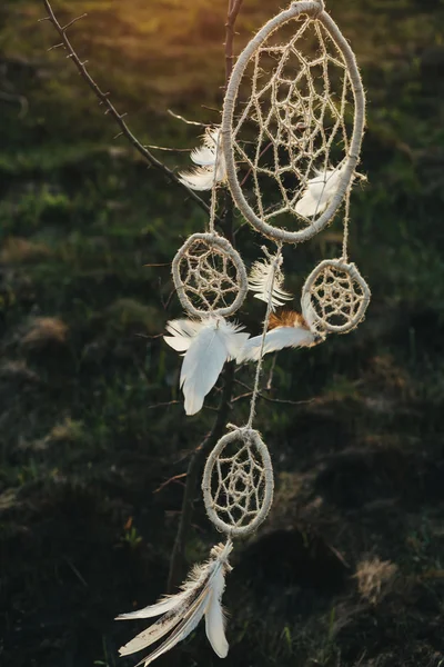 Günbatımında bir alanda bir ağaca asılı dreamcatcher — Stok fotoğraf