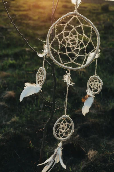 Dream catcher lóg egy fa, egy mezőben a naplemente — Stock Fotó