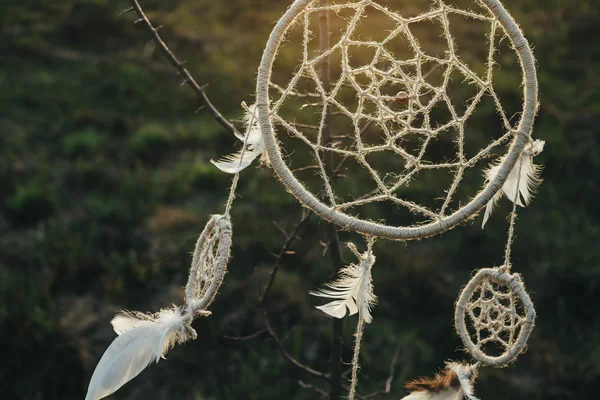 Dreamcatcher hanging from a tree in a field at sunset — Stock Photo, Image