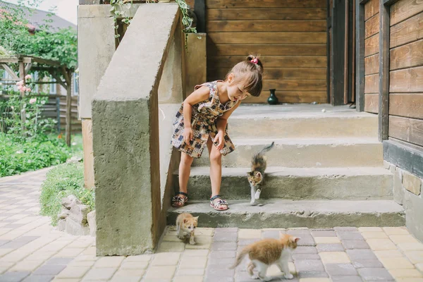 terasta yavru kedi ile oynarken kız