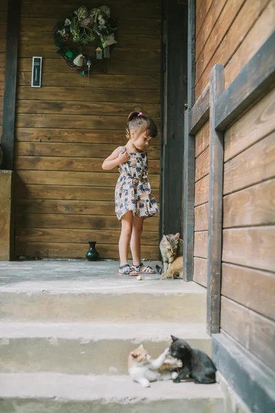 Menina brincando com gatinhos no terraço — Fotografia de Stock