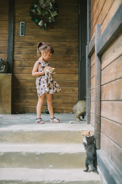 Menina brincando com gatinhos no terraço — Fotografia de Stock