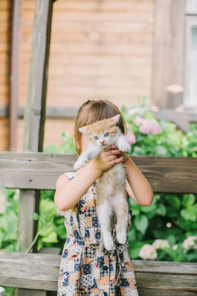 bir bankta yavru kedi ile oynarken kız