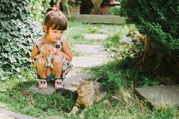 Menina brincando com gatinhos — Fotografia de Stock