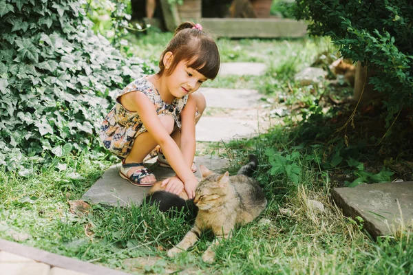 Dívka si hraje s koťata — Stock fotografie