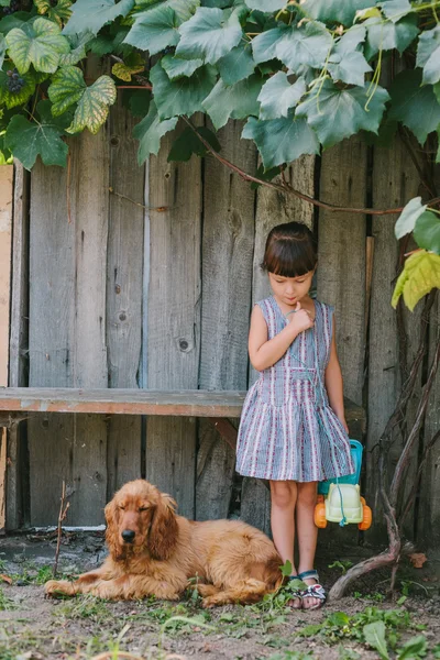 Menina do campo com seu cão sob a videira. fundo de madeira — Fotografia de Stock