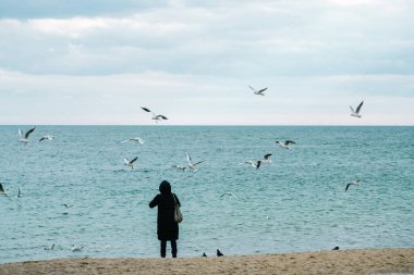Plajdaki kadınlar. Kışın Karadeniz. Martılar gökyüzünde uçar