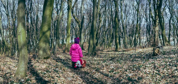 Девочка с долой в лесу. — стоковое фото