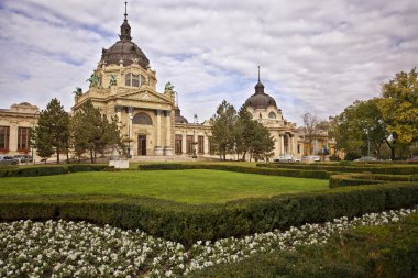 Szechenyi spa banyo Budapeşte, Macaristan.