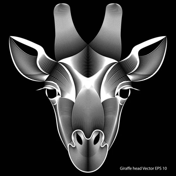 Abstract Giraffe Head Black Background Optical Illusion Line Art Vector Royalty Free Stock Vectors