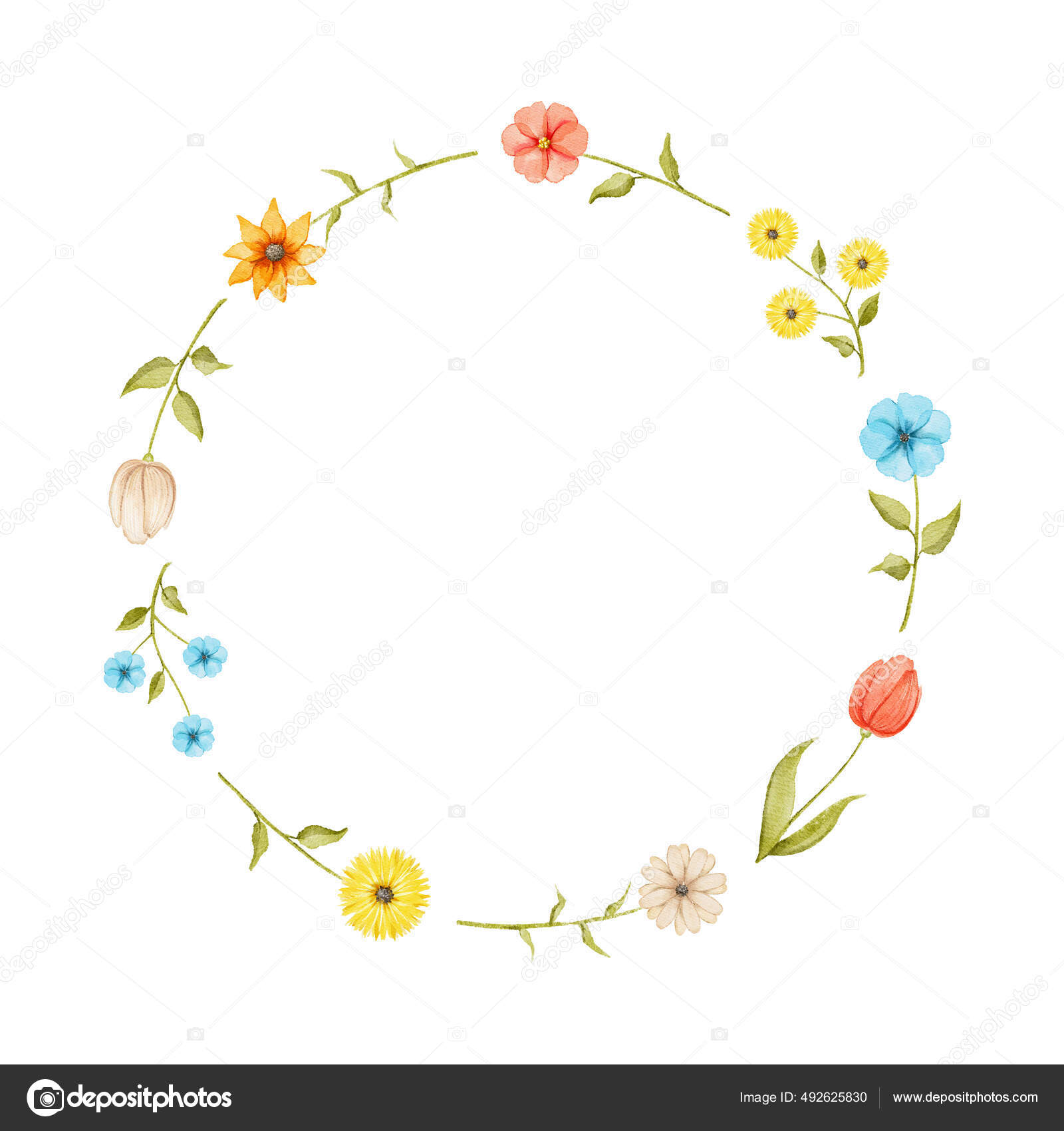白い背景に孤立した牧草地の明るい花と丸い花のフレーム 水彩手描きイラストスケッチ ストック写真 C Mimomy 白い背景に孤立した牧草地の明るい花と丸い花のフレーム 水彩手描きイラストスケッチ ストック写真 C Mimomy