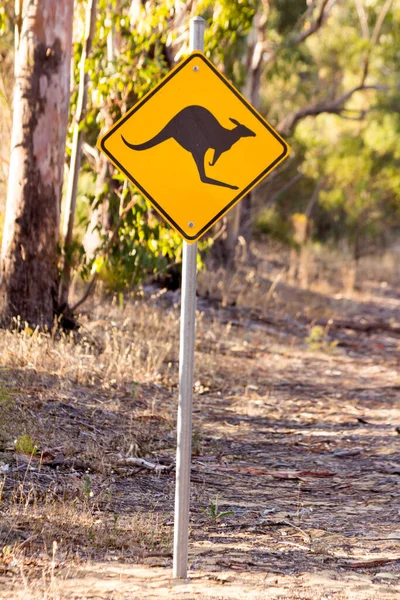 Сигнал Кенгуру Сельской Дороге Перт Австралия — стоковое фото