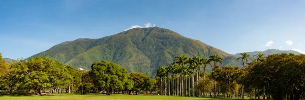 Вид Вершину Гори Каракас Avila Або Waraira Repano Східного Парку — стокове фото