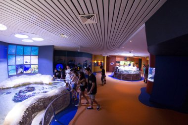 Perth, Batı Avustralya / Avustralya - 23 / 01 / 2013: Batı Avustralya 'nın AQWA Akvaryumu, 91 Southside Dr, Hillarys WA 6025, Perth Australia.