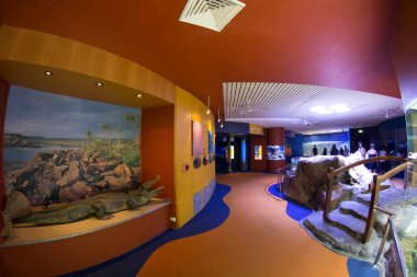 Perth, Batı Avustralya / Avustralya - 23 / 01 / 2013: Batı Avustralya 'nın AQWA Akvaryumu, 91 Southside Dr, Hillarys WA 6025, Perth Australia.