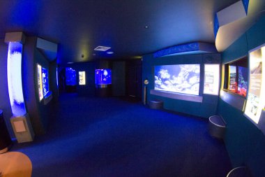 Perth, Batı Avustralya / Avustralya - 23 / 01 / 2013: Batı Avustralya 'nın AQWA Akvaryumu, 91 Southside Dr, Hillarys WA 6025, Perth Australia.