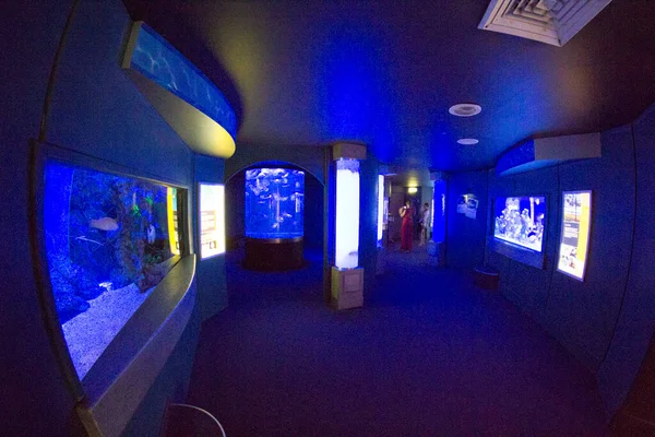 Perth West Australia Australia 2013 Aqwa Aquarium West Australia Southside — 图库照片