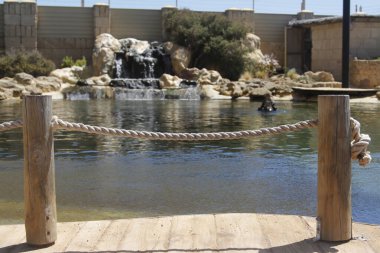 Perth, Batı Avustralya / Avustralya - 23 / 01 / 2013: Batı Avustralya 'nın AQWA Akvaryumu, 91 Southside Dr, Hillarys WA 6025, Perth Australia.