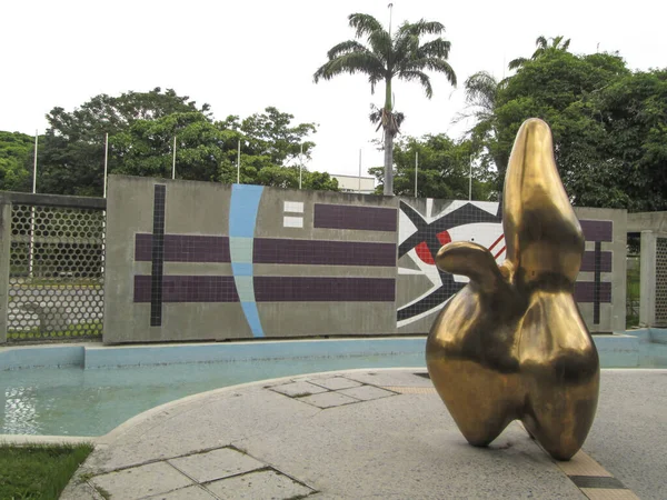 Caracas Dtto Capital Venezuela 2017 Jean Arp Central University Venezuela — 스톡 사진