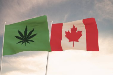 Kanada 'nın ilginç bayrakları ve arka planda parlak gökyüzü sallanan marihuananın yasallaştırılması..
