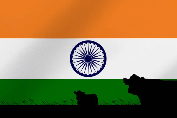 Consumo Produção Bovinos Países Com Pavilhão Índia — Fotografia de Stock