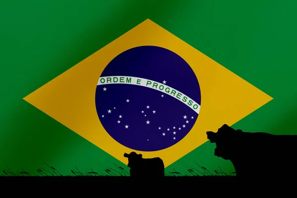 Consumo Producción Ganado Países Con Bandera Brasil — Foto de Stock