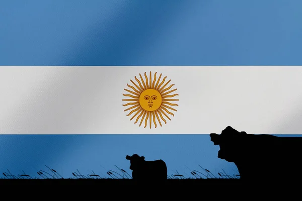 아르헨티나의 국기가 들에서 소비와 — 스톡 사진