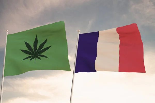 Interessante Vlaggen Van Frankrijk Die Van Legalisering Van Marihuana Zwaaiend — Stockfoto