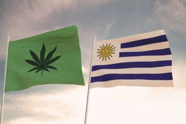 İlginç URUGUAY Bayrakları ve arka planda parlak gökyüzü ile marihuananın yasallaştırılması.