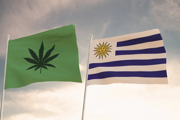 Interessante Vlaggen Van Uruguay Die Van Legalisering Van Marihuana Zwaaiend — Stockfoto