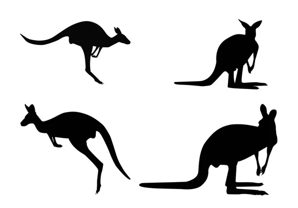 Kangaroos Black Silhouettes White Background Vector Shapes Australia — Stock Vector