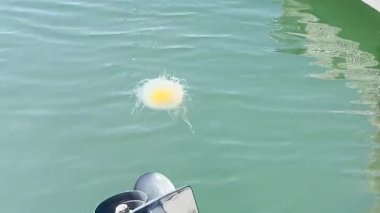 Teknelerin görülebileceği marina manzarası. ABD, Washington, Seattle 15 Temmuz 2025.