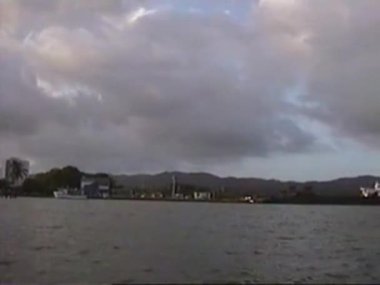 Kumsalda uçan bir kuş, suya yakın. Carenero, Miranda State, Venezuela, 1 Ocak 2001. 8 mm 'lik video. Yazı.