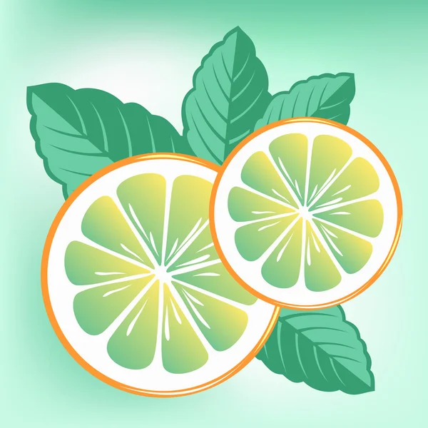 Mint and orange — Stock Vector