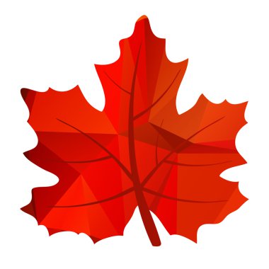 kırmızı parlak akçaağaç yaprağı