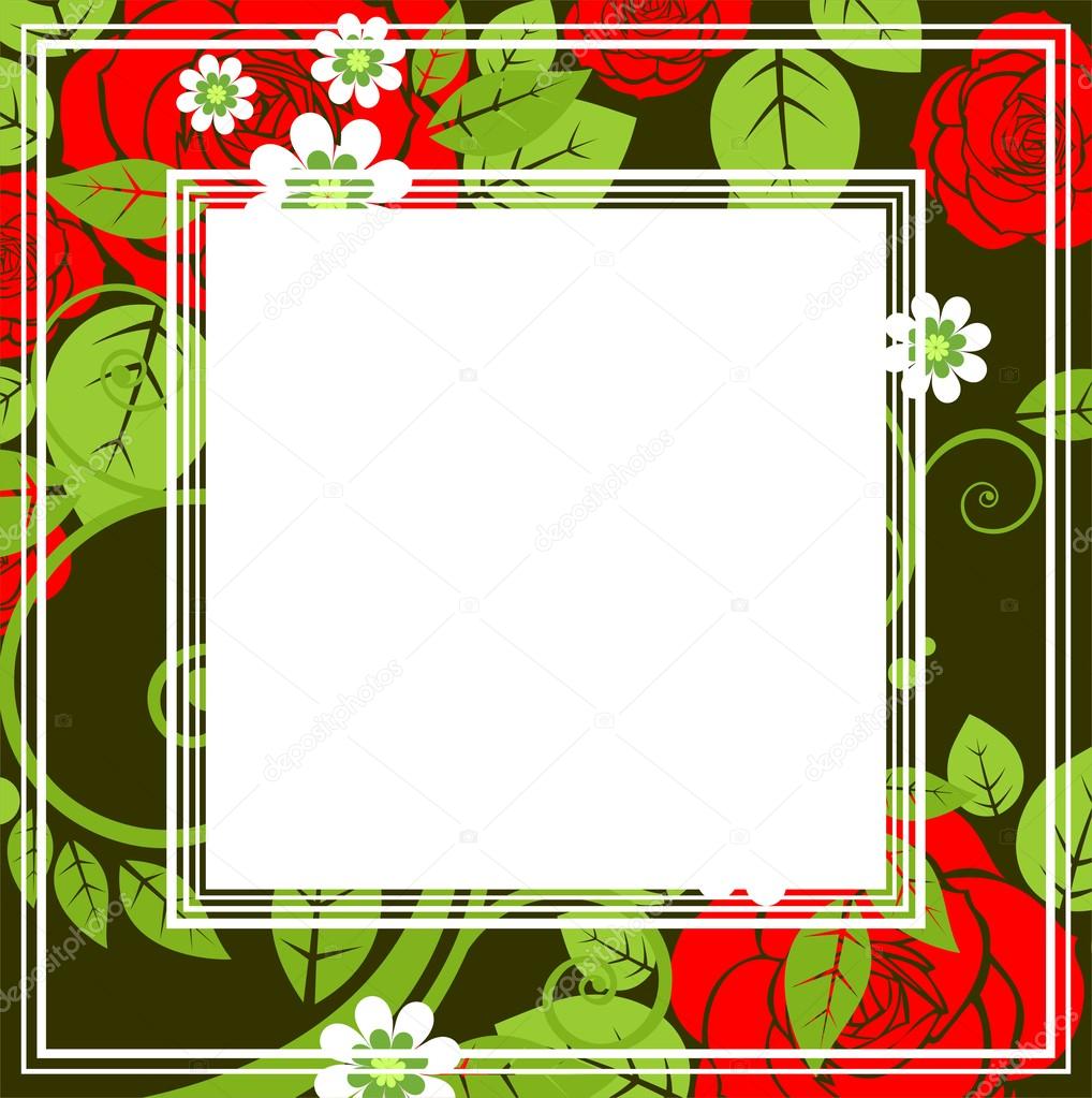 red roses border