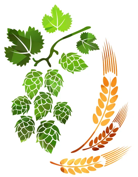 Wheat ears and hop — Stock Vector