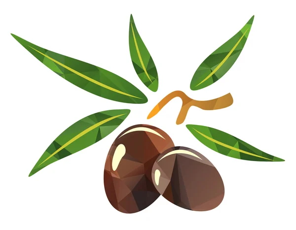 Dos aceitunas — Vector de stock