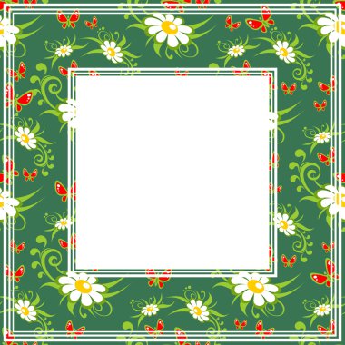 Papatya yeşil sınır